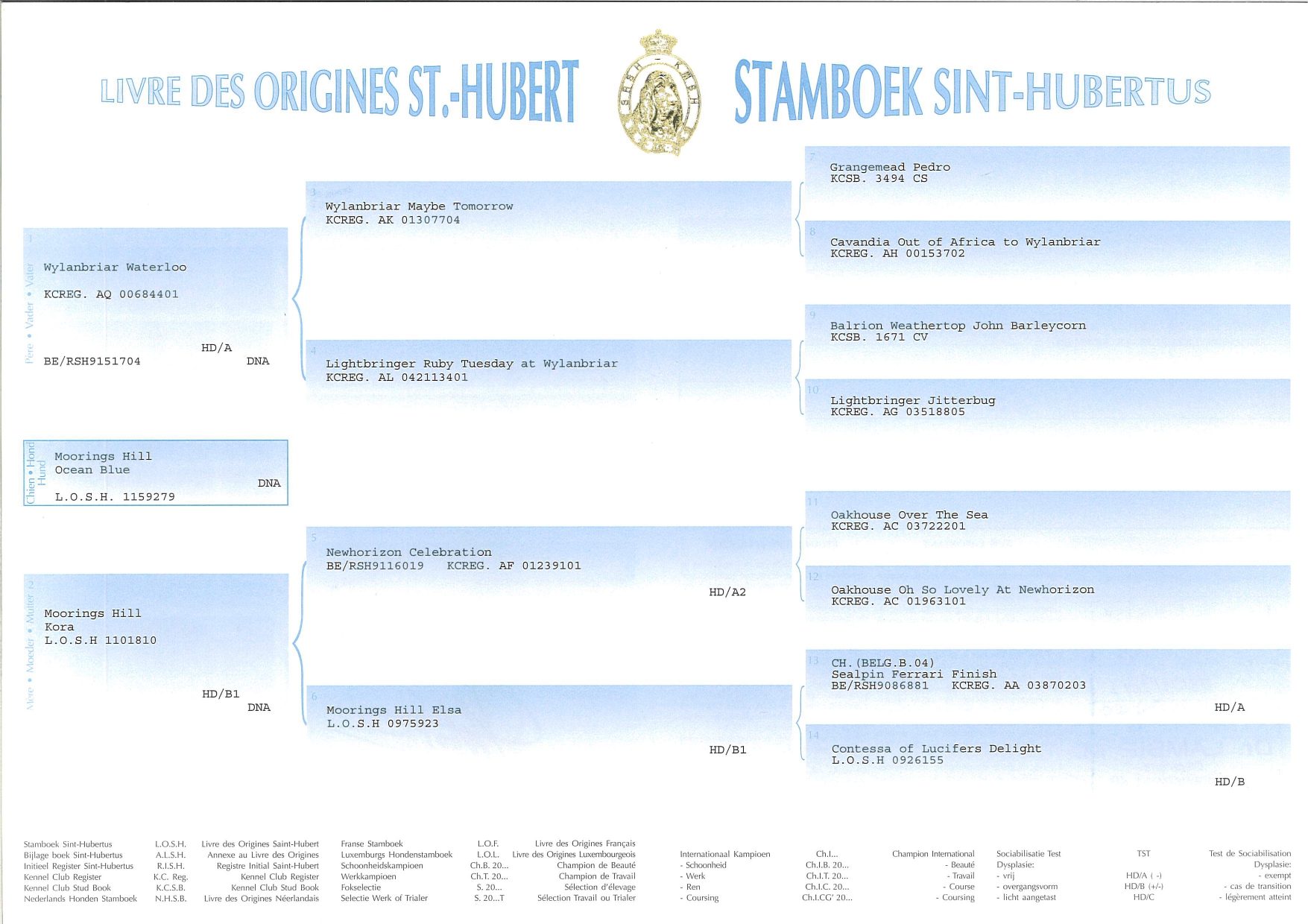 Moorings Hill - Stamboom - Zina