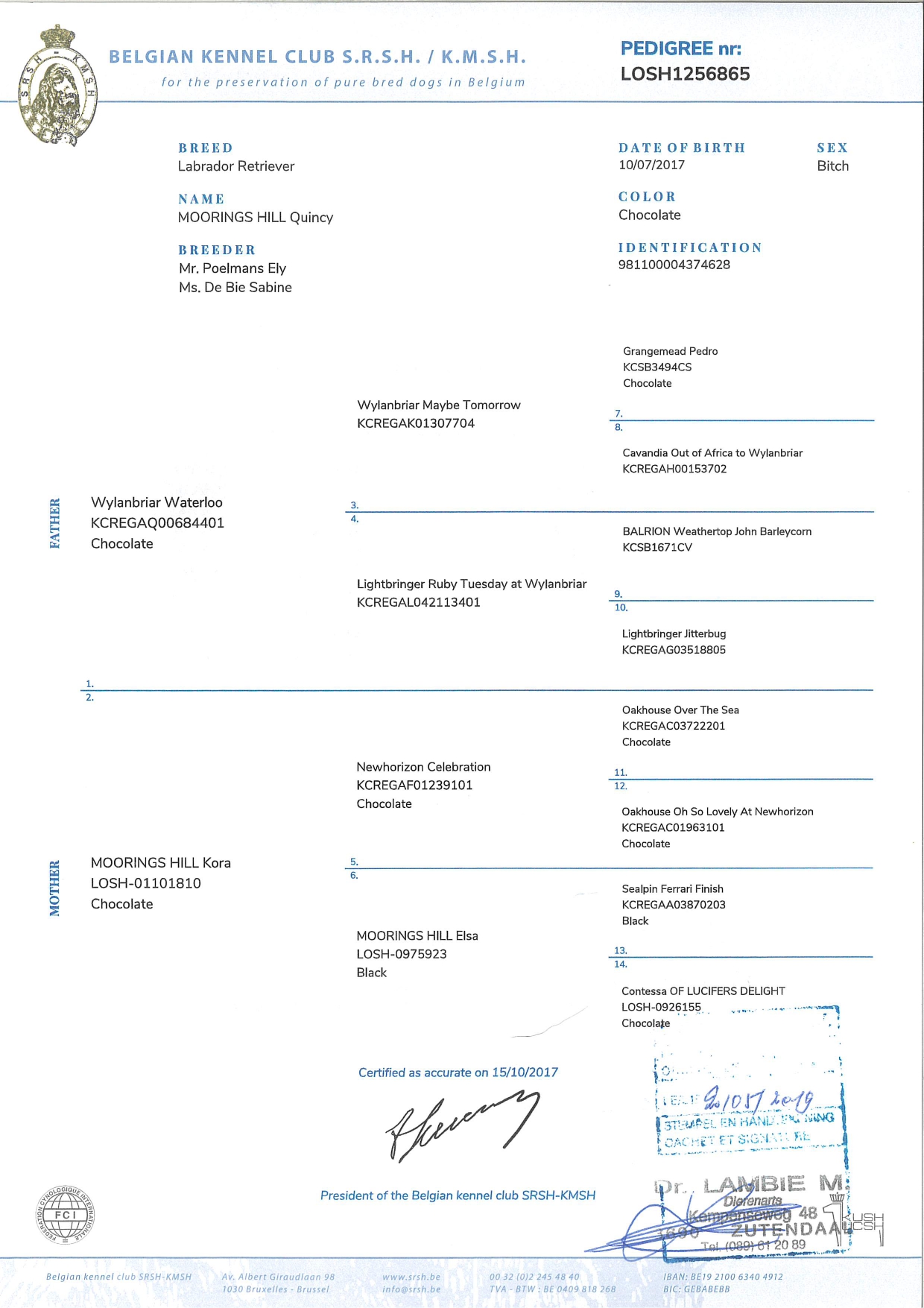 Moorings Hill - Stamboom - Quincy