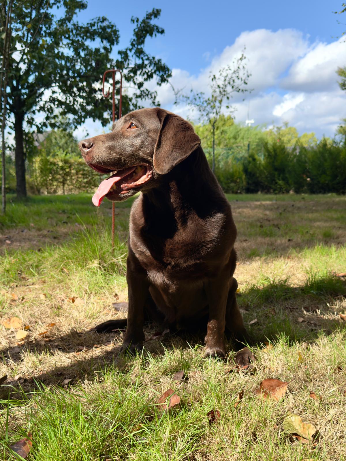 Moorings Hill - Labrador - Zina