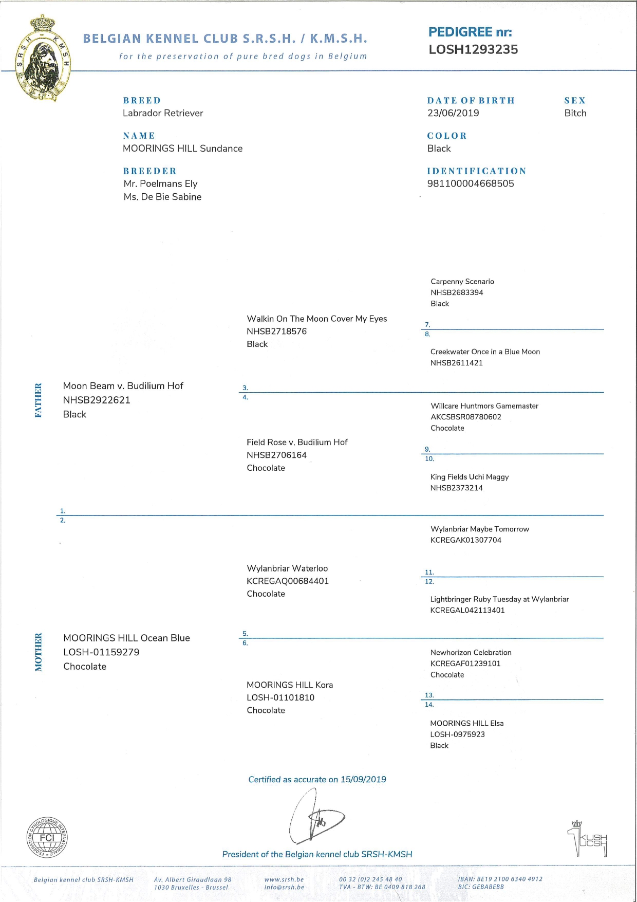 Moorings Hill - Stamboom - Sunny