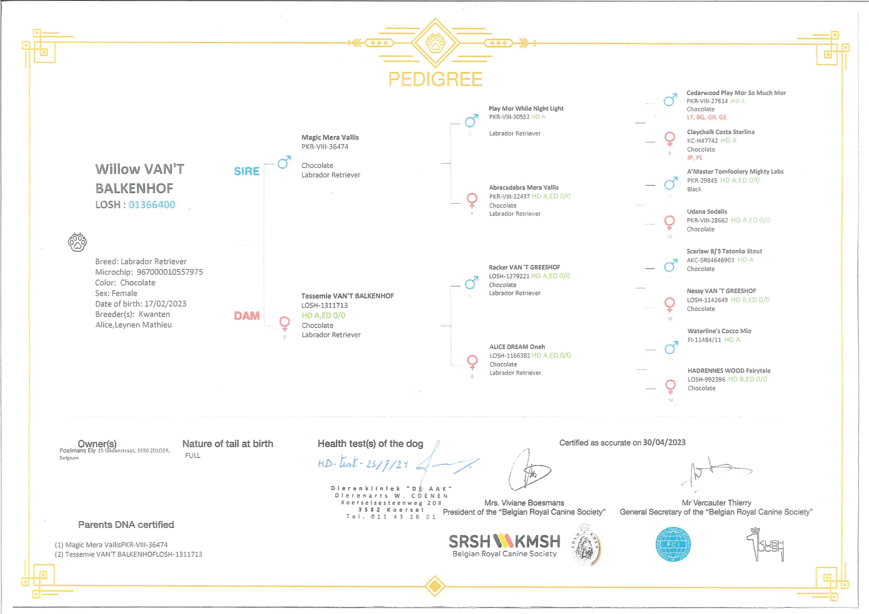 Moorings Hill - Stamboom - Willow